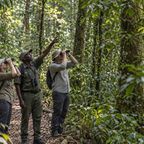 Kakamega Forest