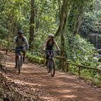 Karura Forest, Nairobi