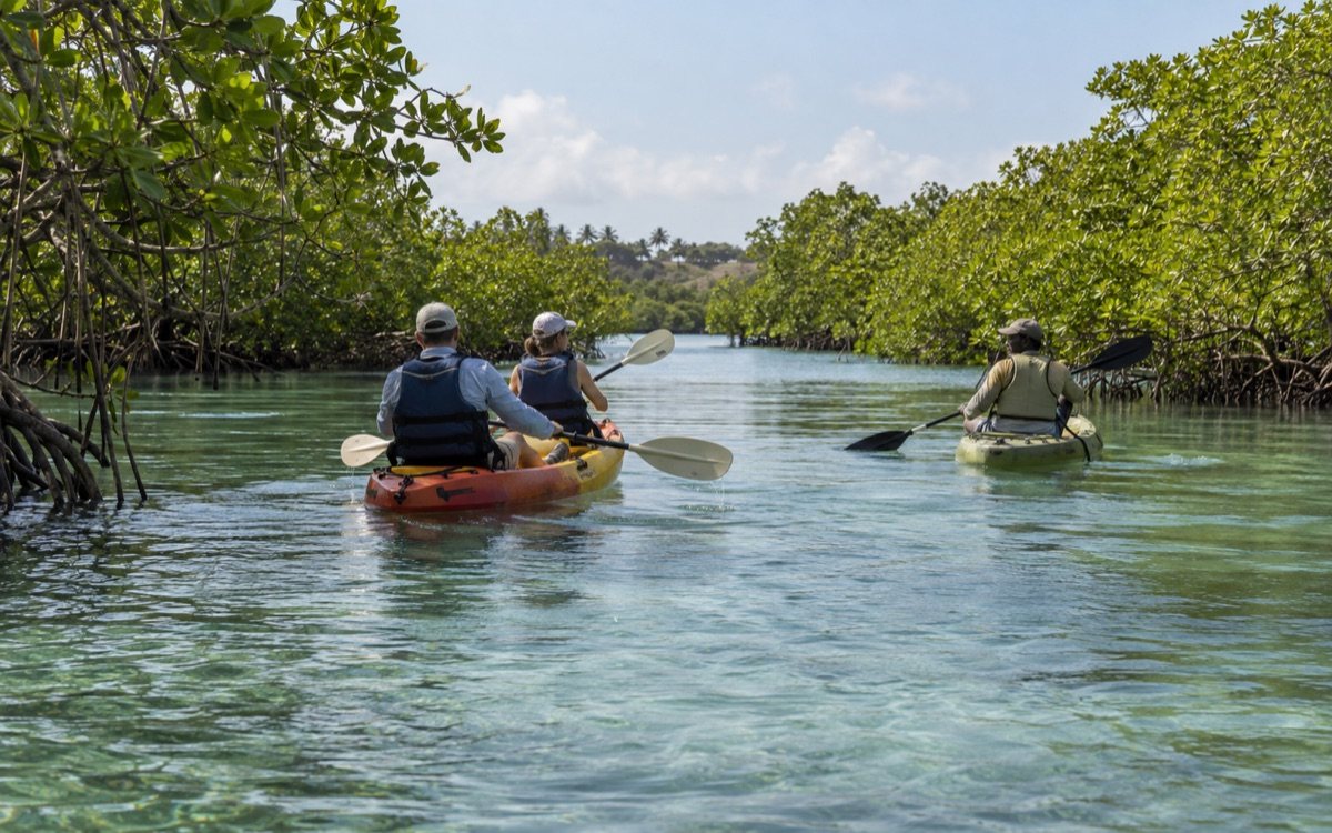Paddling Watamu's Mangroves With the Tide