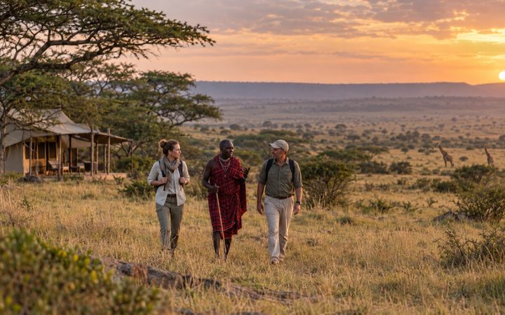 How to Plan a Responsible Family Safari