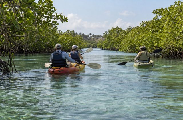 Watamu Reef & Mangrove Paddle